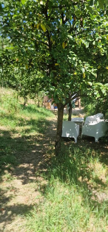 Casageo Cheile Nerei Villa Sokolar Екстериор снимка