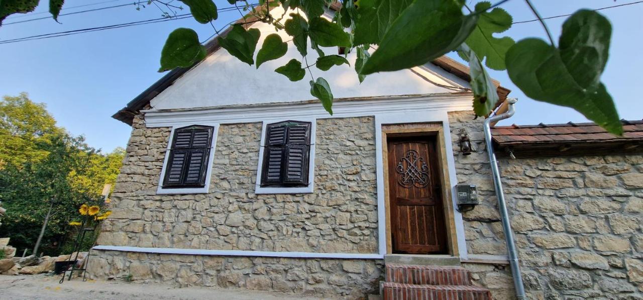 Casageo Cheile Nerei Villa Sokolar Екстериор снимка