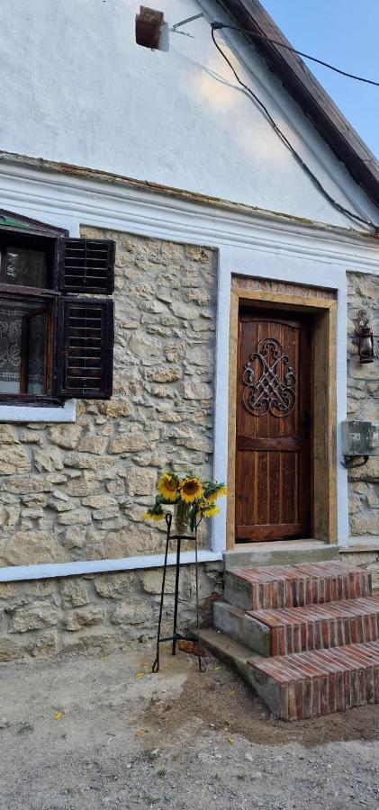 Casageo Cheile Nerei Villa Sokolar Екстериор снимка