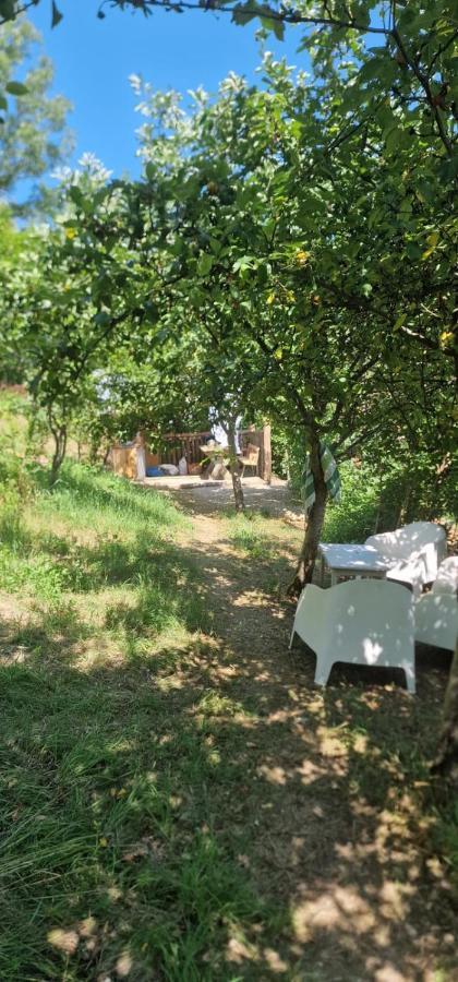 Casageo Cheile Nerei Villa Sokolar Екстериор снимка